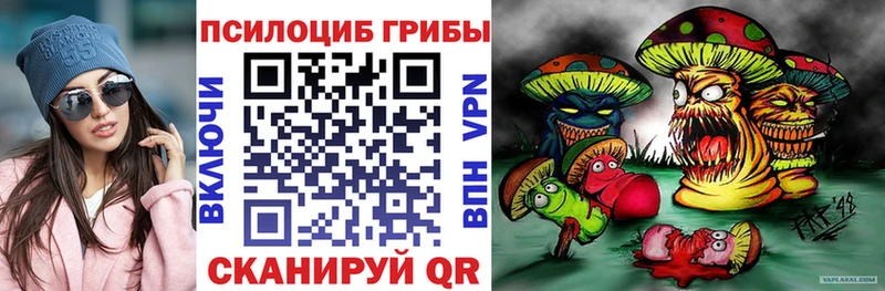 Псилоцибиновые грибы MAGIC MUSHROOMS  Купить  Краснознаменск 